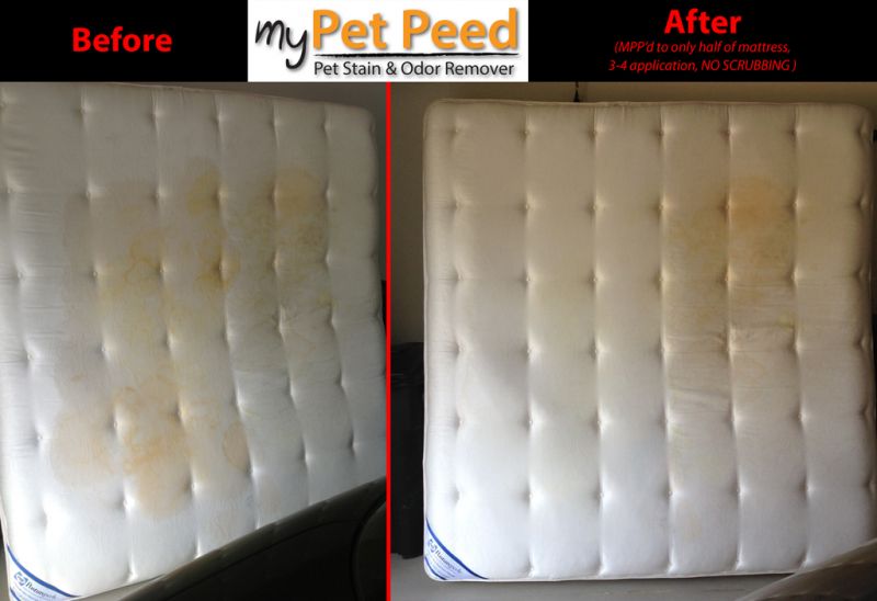 before and after picture - get dog urine out of mattress with ECO 88 Brands pet urine remover