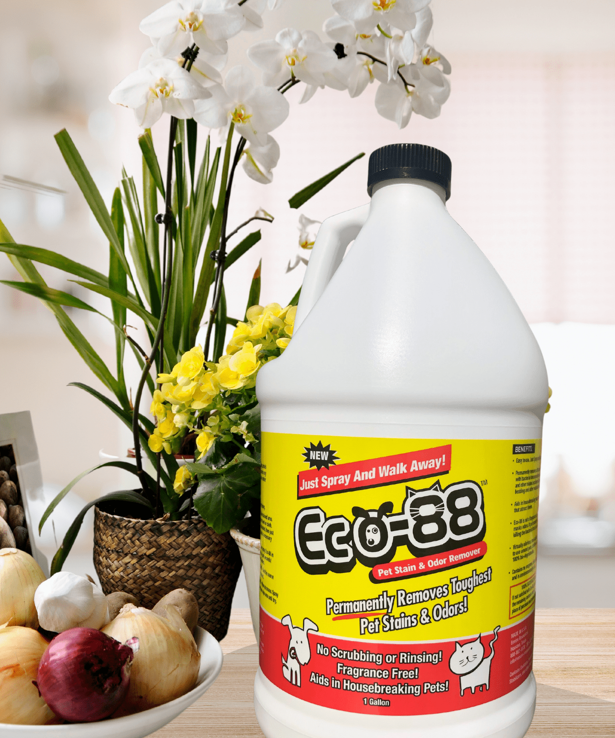 ECO-88 Pet 1 Gal background