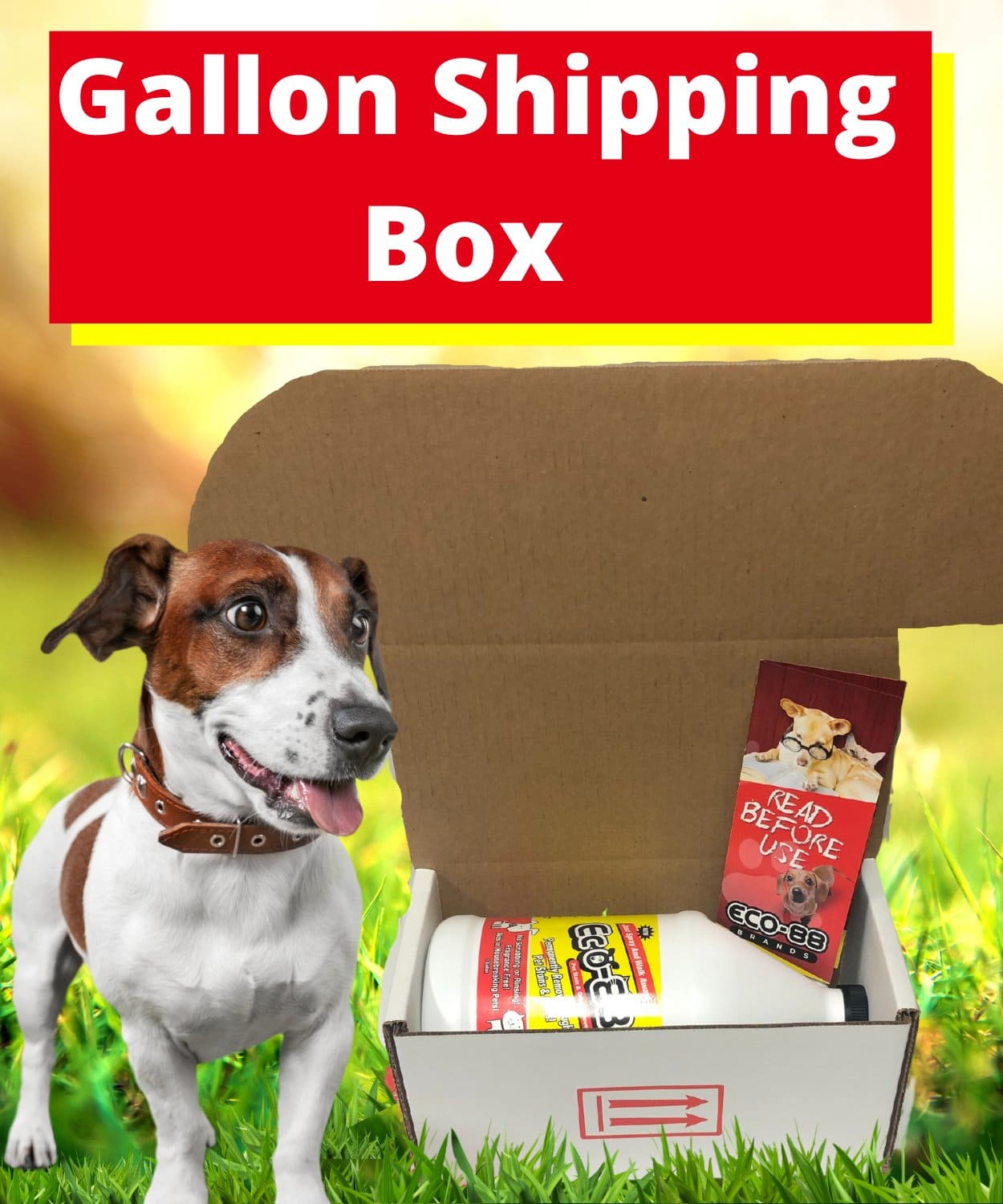 Eco 88 Pet Gallon Shipping Box Background (1)