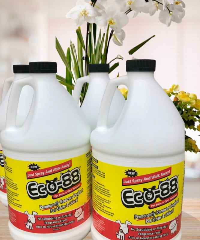 Case Gallons (4) Eco88 Brands