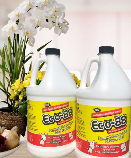 ECO-88 Pet 2 Gal background