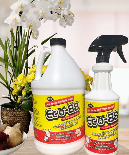 ECO-88 Pet Starter background