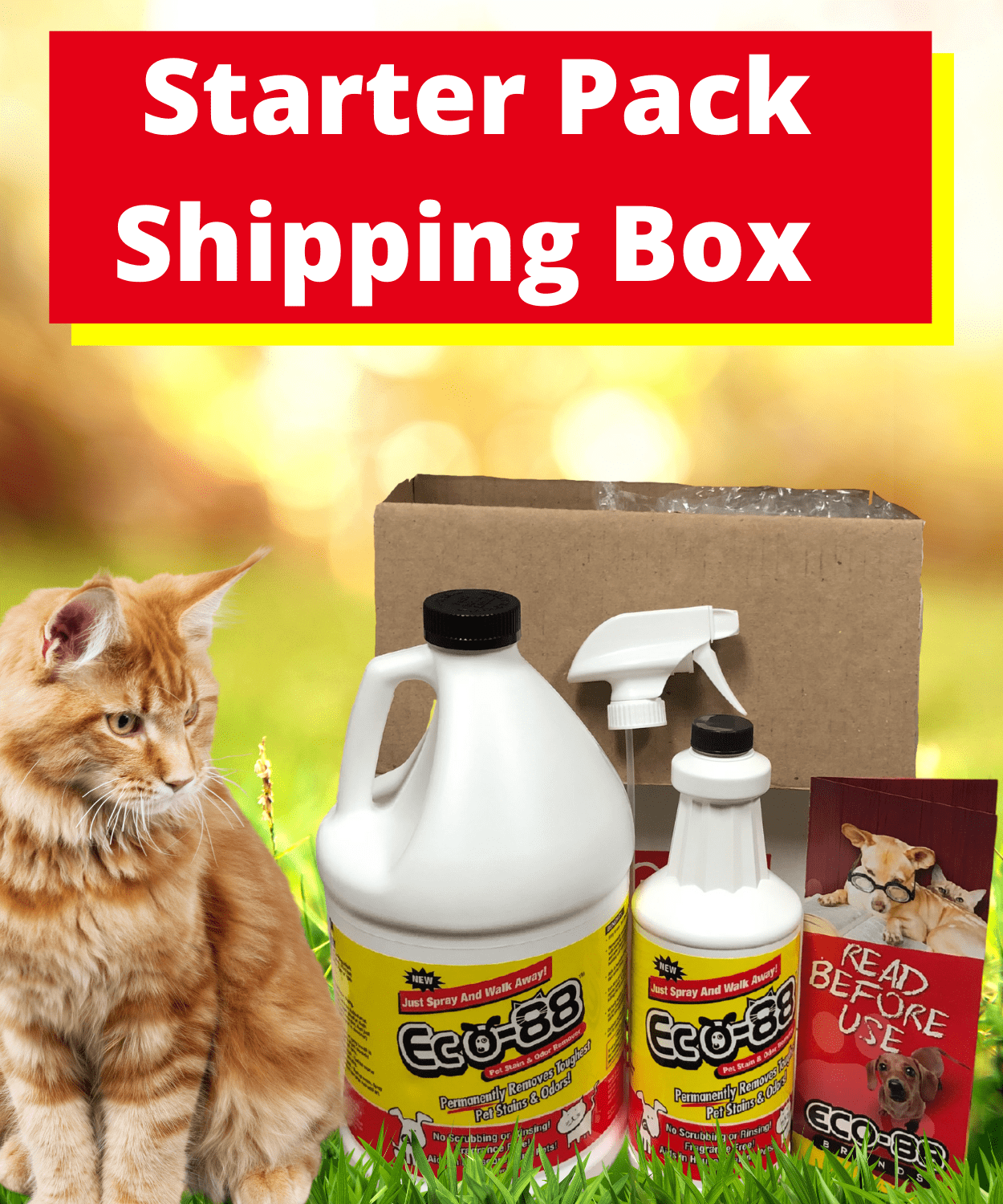 Eco 88 Pet Starter Shipping Box Background (2)
