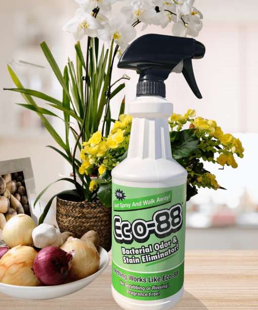 _ECO-88 Multi 1QT Background (2)