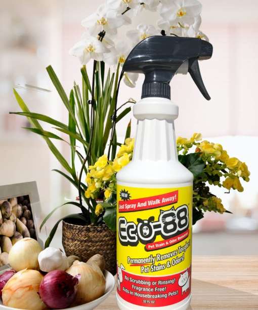 ECO-88 Pet 1 QT background (2)