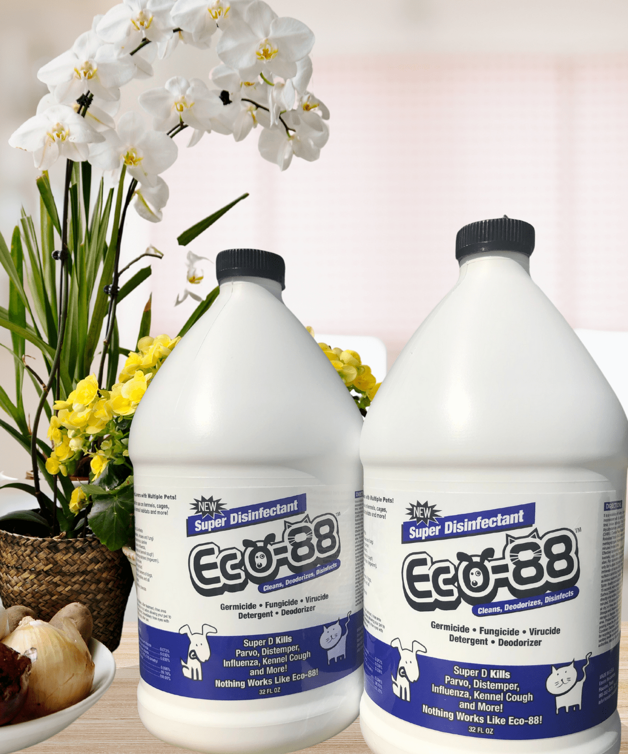 ECO-88 SD 2 Gal background
