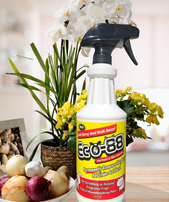 One 32oz Spray Bottle Eco88 Brands